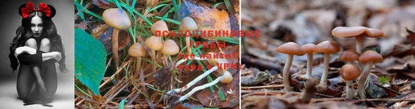 винт Алексеевка