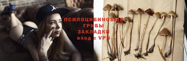 mix Алексин