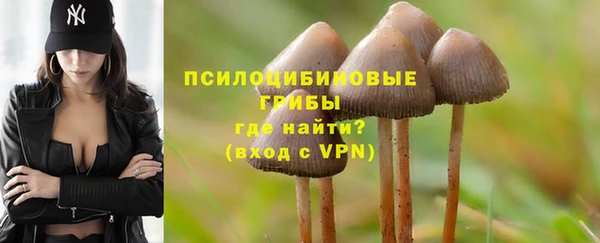 мет Алзамай