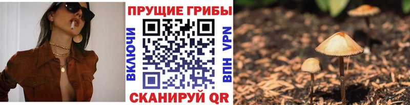 Псилоцибиновые грибы MAGIC MUSHROOMS Майкоп
