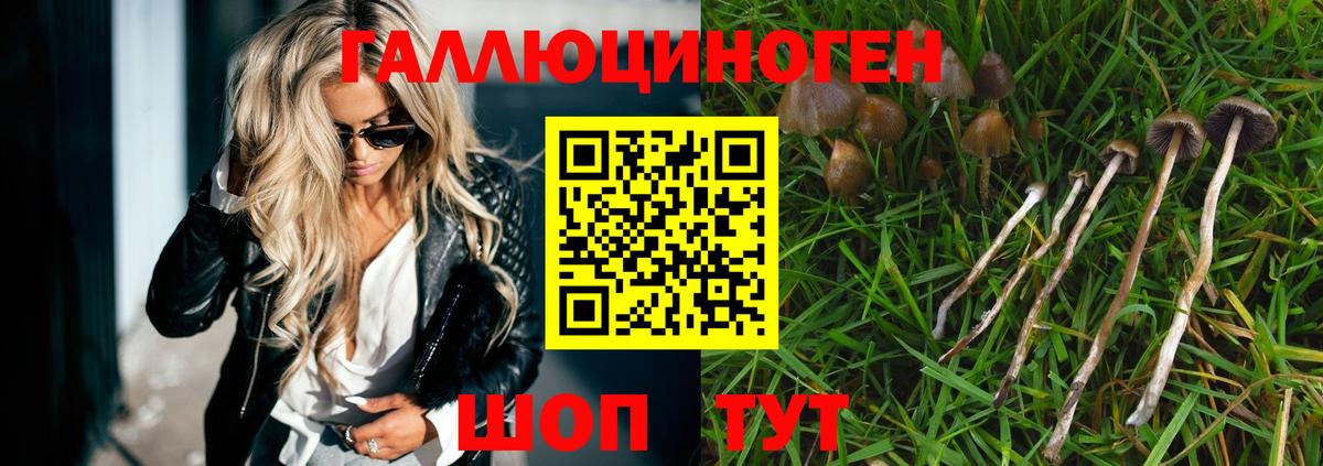 Галлюциногенные грибы Magic Shrooms Майкоп