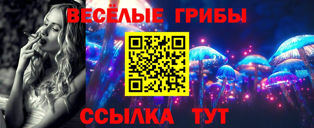 LSD-25 Майкоп